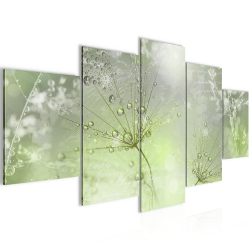Wandbilder Wohnzimmer XXL Pusteblume Moderne Bild Gräser